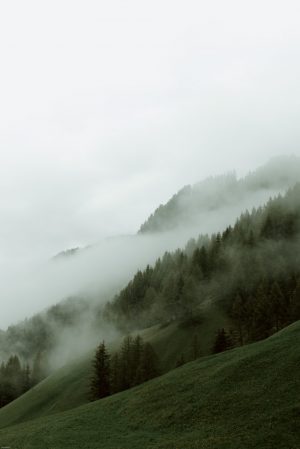 pexels-eberhard-grossgasteiger-4406292
